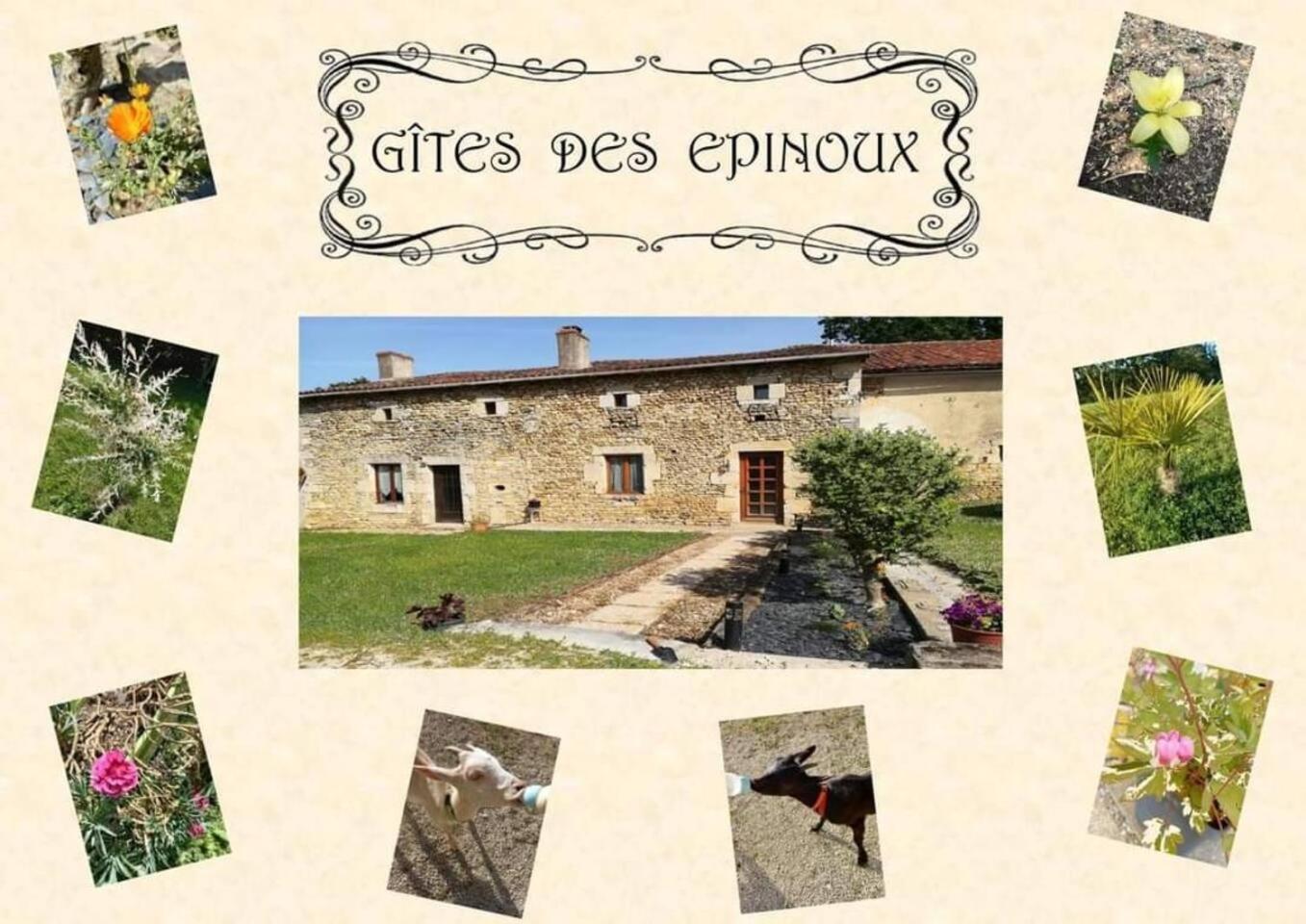 Le Papillon Villa Savigne Екстериор снимка
